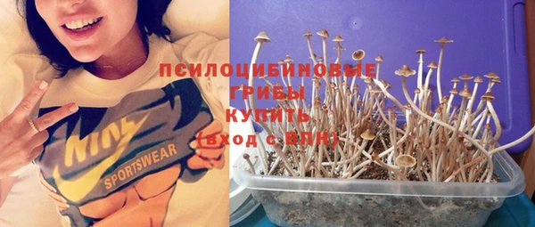 каннабис Гусев