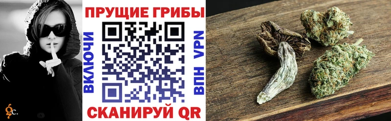 OMG сайт  Рубцовск  Галлюциногенные грибы прущие грибы 